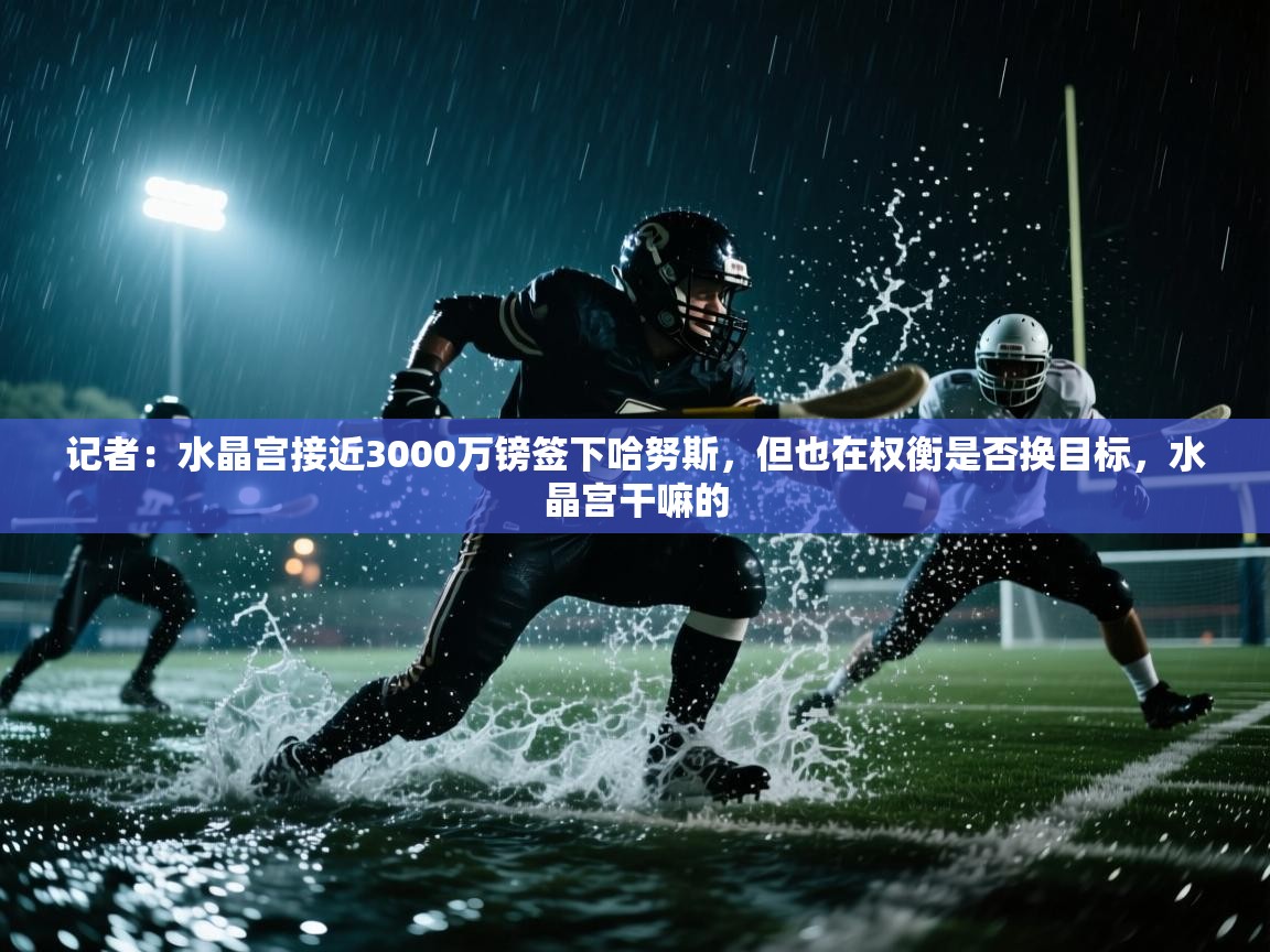 开云体育安装失败怎么办-记者：水晶宫接近3000万镑签下哈努斯，但也在权衡是否换目标，水晶宫干嘛的  第2张