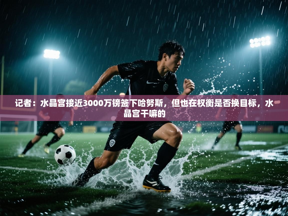 开云体育安装失败怎么办-记者：水晶宫接近3000万镑签下哈努斯，但也在权衡是否换目标，水晶宫干嘛的  第1张