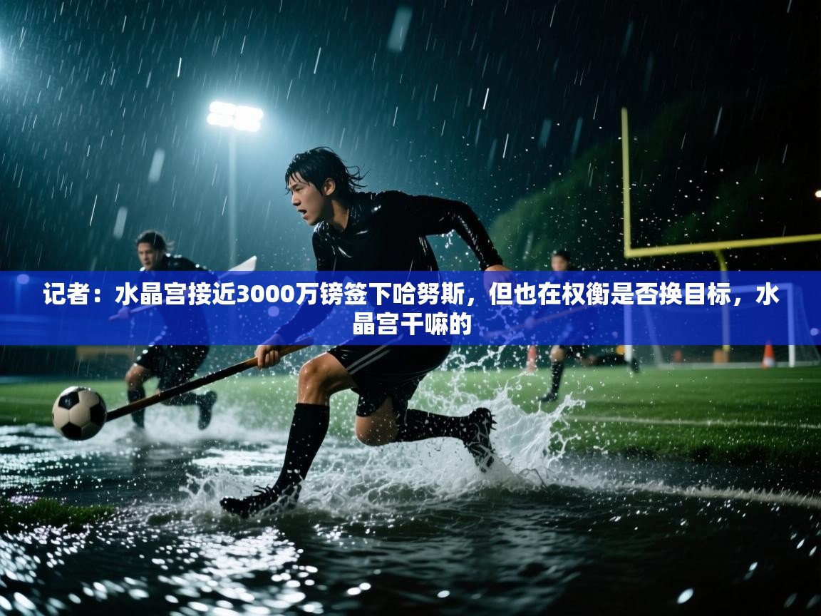 开云体育安装失败怎么办-记者：水晶宫接近3000万镑签下哈努斯，但也在权衡是否换目标，水晶宫干嘛的  第3张