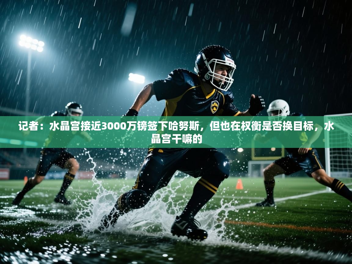 开云体育安装失败怎么办-记者：水晶宫接近3000万镑签下哈努斯，但也在权衡是否换目标，水晶宫干嘛的  第4张