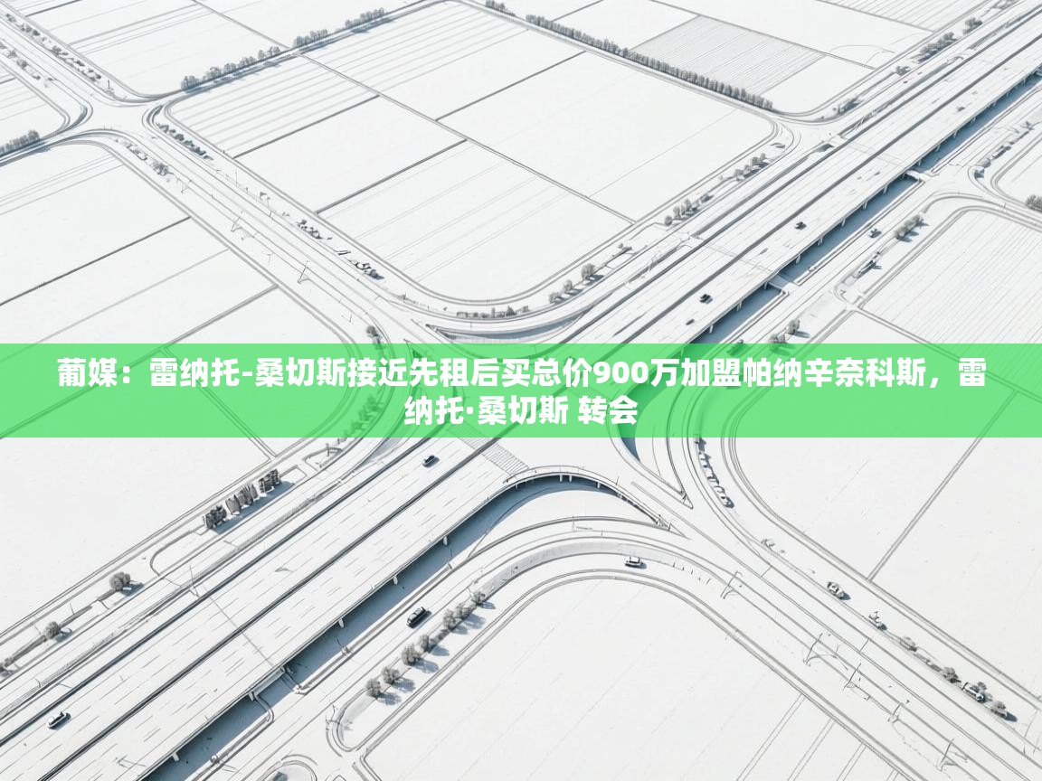 开云体育旧版下载地址-葡媒：雷纳托-桑切斯接近先租后买总价900万加盟帕纳辛奈科斯，雷纳托·桑切斯 转会  第1张