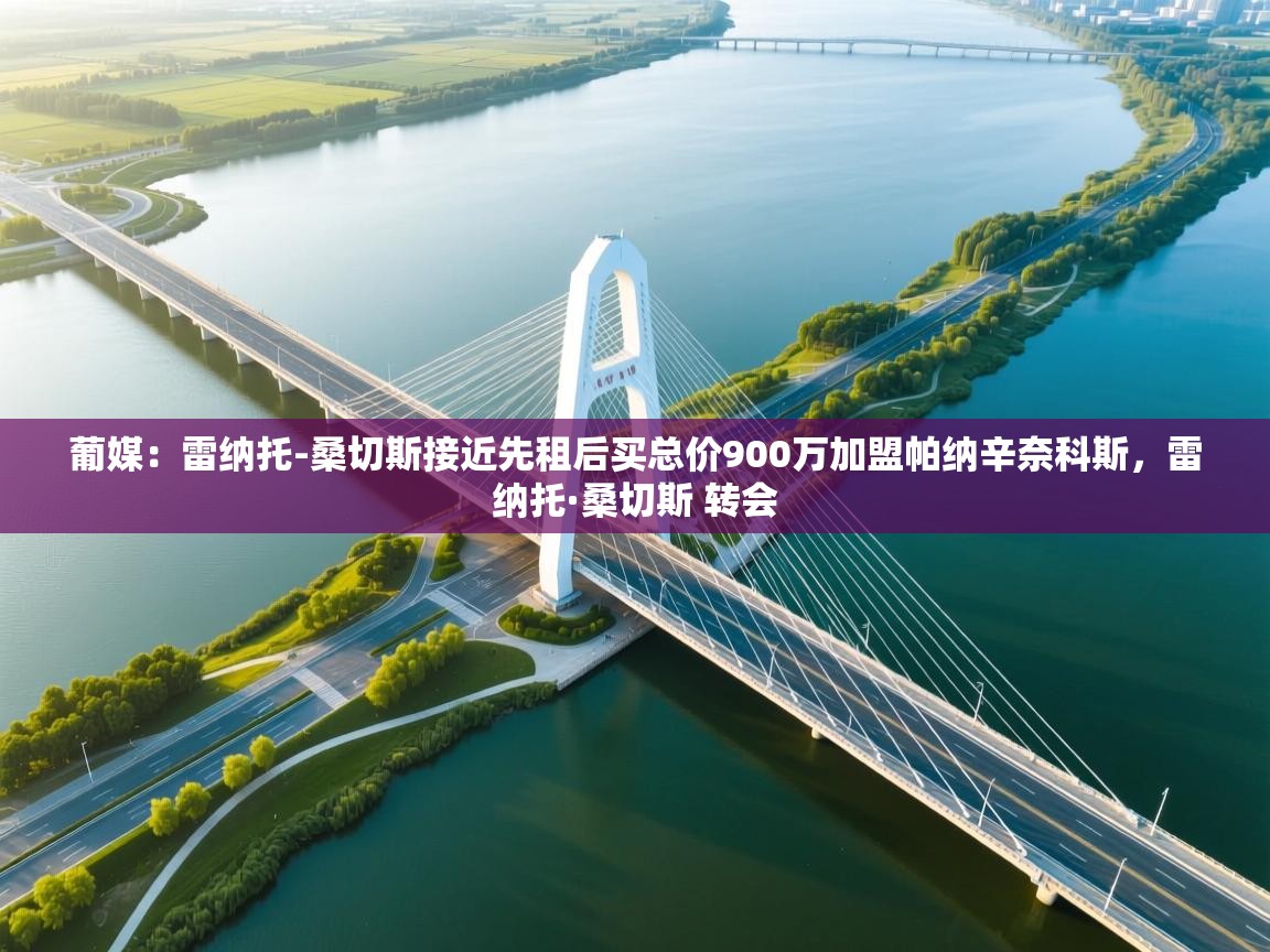 开云体育旧版下载地址-葡媒：雷纳托-桑切斯接近先租后买总价900万加盟帕纳辛奈科斯，雷纳托·桑切斯 转会  第2张