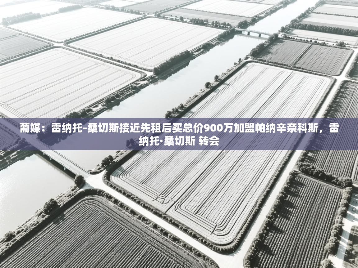 开云体育旧版下载地址-葡媒：雷纳托-桑切斯接近先租后买总价900万加盟帕纳辛奈科斯，雷纳托·桑切斯 转会  第3张