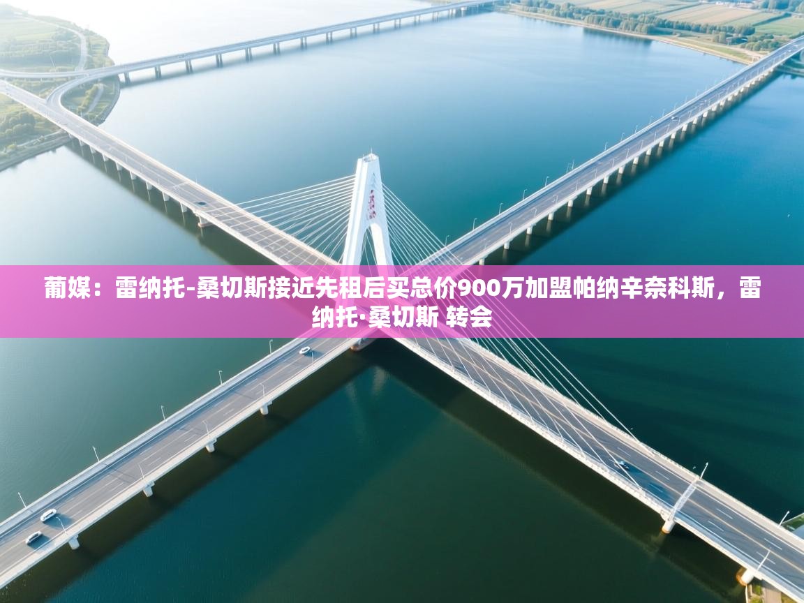 开云体育旧版下载地址-葡媒：雷纳托-桑切斯接近先租后买总价900万加盟帕纳辛奈科斯，雷纳托·桑切斯 转会  第4张