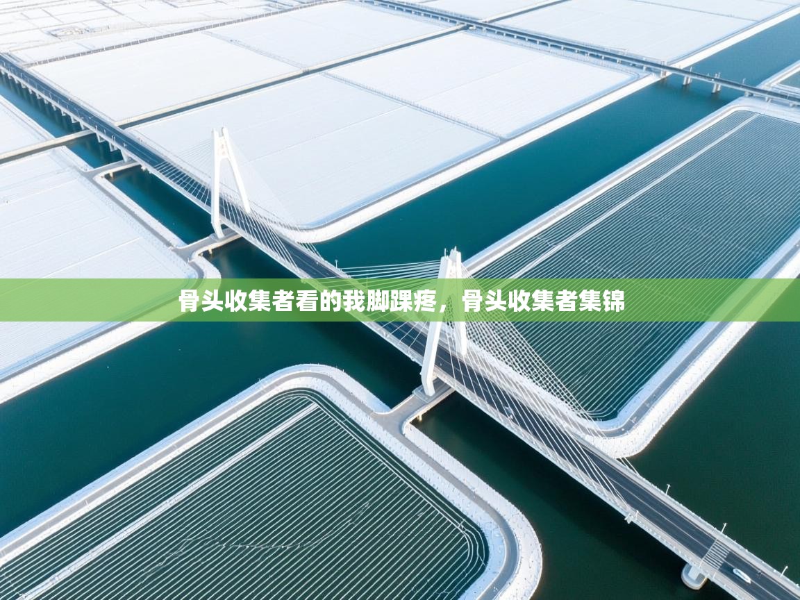 开云体育注册下载-骨头收集者看的我脚踝疼,骨头收集者集锦