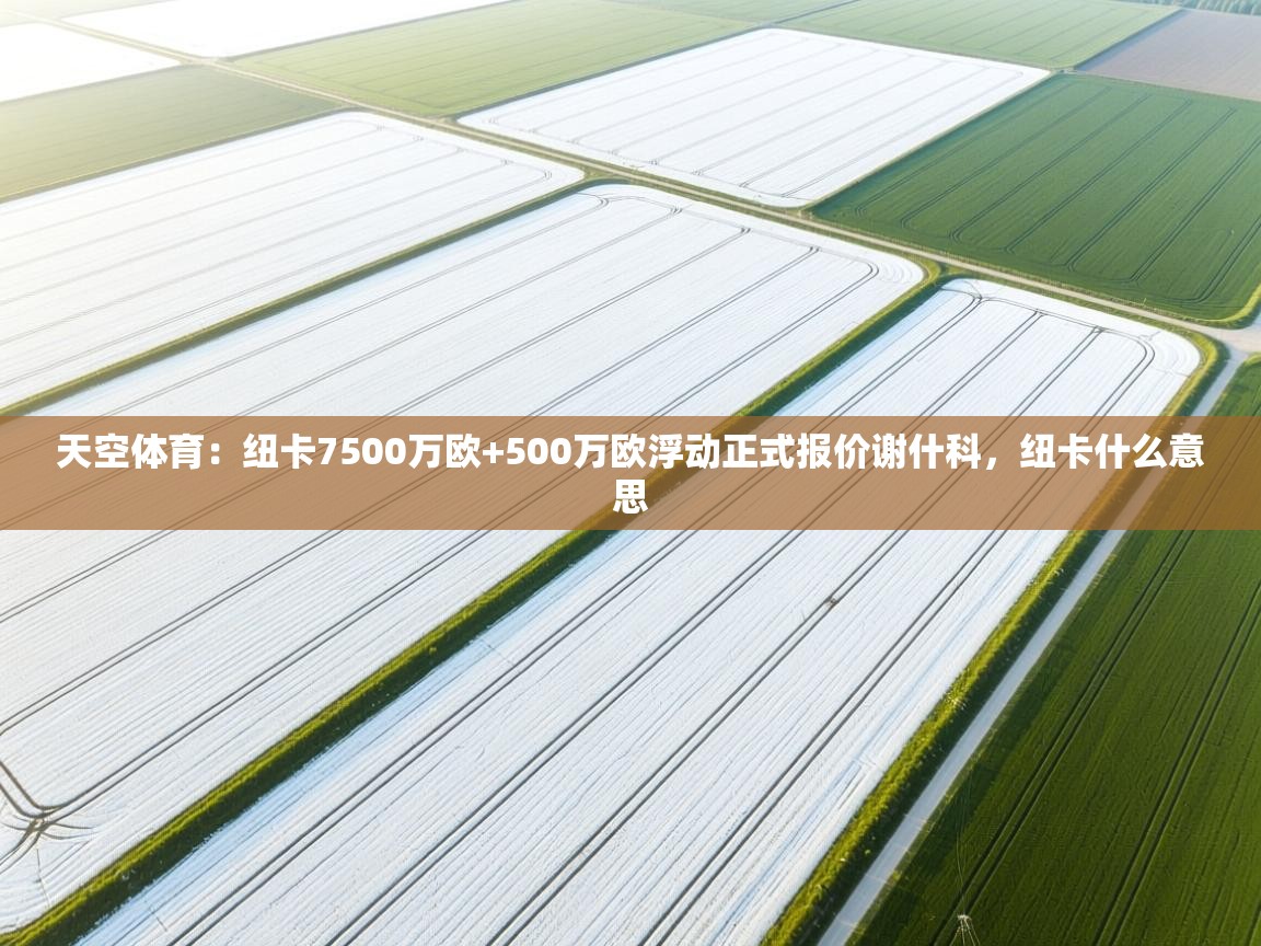 开云体育注册下载-天空体育:纽卡7500万欧+500万欧浮动正式报价谢什科,纽卡什么意思 第1张
