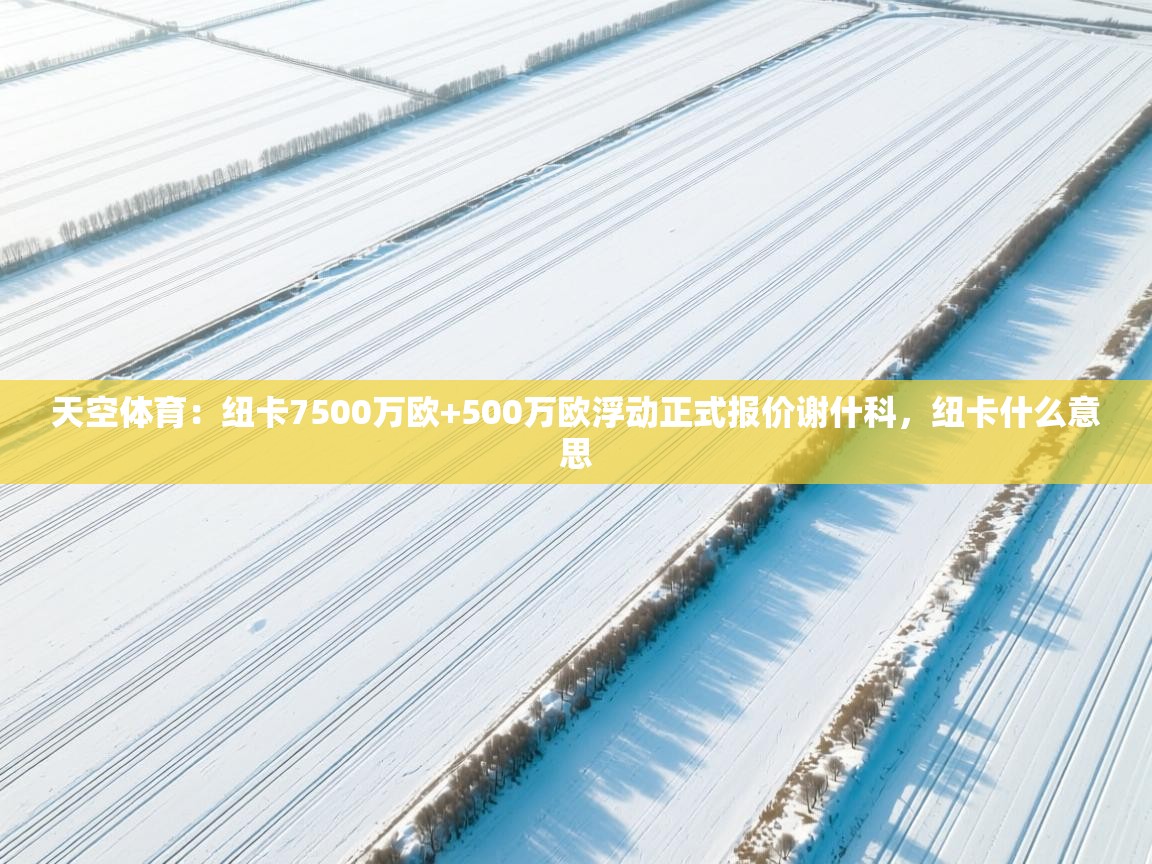 开云体育注册下载-天空体育:纽卡7500万欧+500万欧浮动正式报价谢什科,纽卡什么意思 第2张