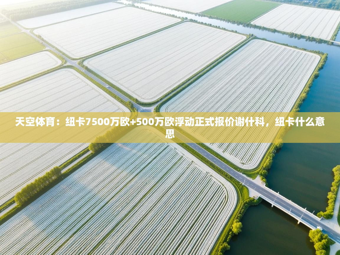 开云体育注册下载-天空体育:纽卡7500万欧+500万欧浮动正式报价谢什科,纽卡什么意思 第4张