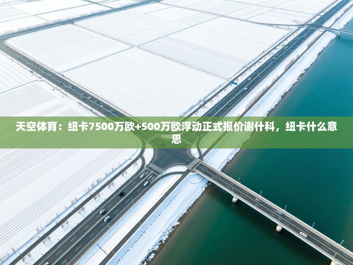 开云体育注册下载-天空体育:纽卡7500万欧+500万欧浮动正式报价谢什科,纽卡什么意思 第3张
